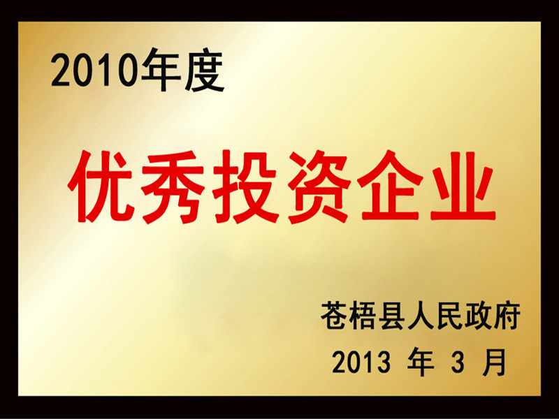 2010年度優(yōu)秀投資企業(yè)